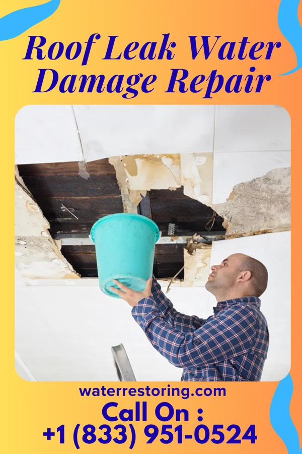 Roof Leak Water Damage Repair in North Madison, OH