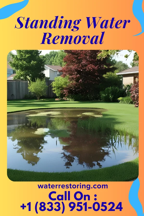 Standing Water Removal in North Madison, OH